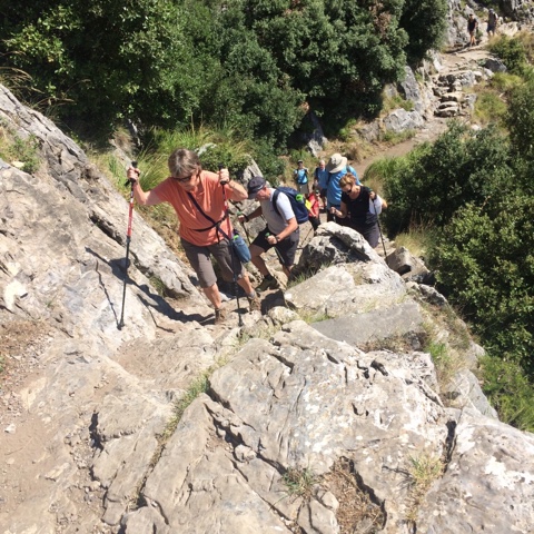 38A2A6DB-79C7-44B5-867A-7264D2B46F56