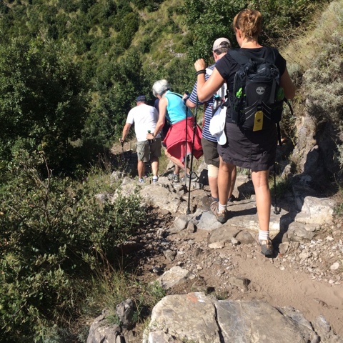 8531536A-0F42-4E89-984B-CC899112D4F5