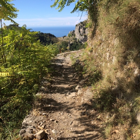 96C1DBA4-E0C3-4486-A8D8-CC61CACB82C8