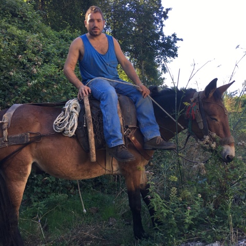 EEB58E04-B62E-4C1F-B463-F22B15D4EE8B