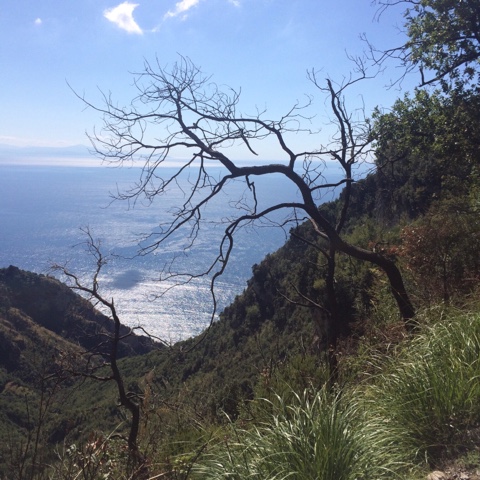 F84372B8-30FA-4BEB-8C8B-5785B23277C0