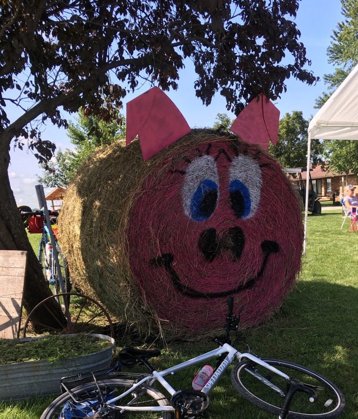 12C7E603-12B0-4EBD-91FA-4C950A222FA8