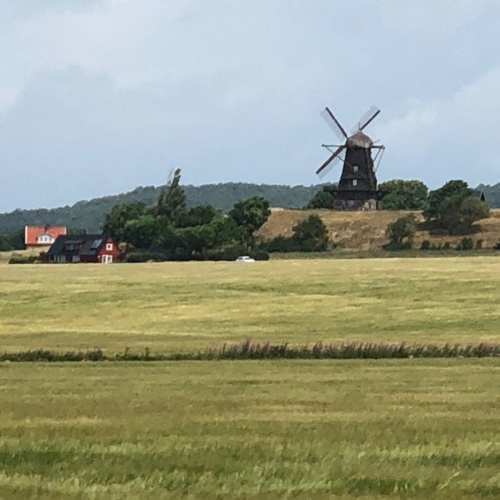 1DDF465A-DC80-49E3-8788-7A136B5931AD