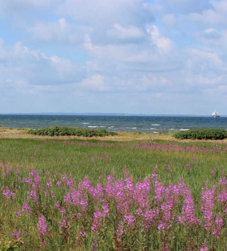 D3D64ACB-8E63-4AE8-9424-51C82F269CF5