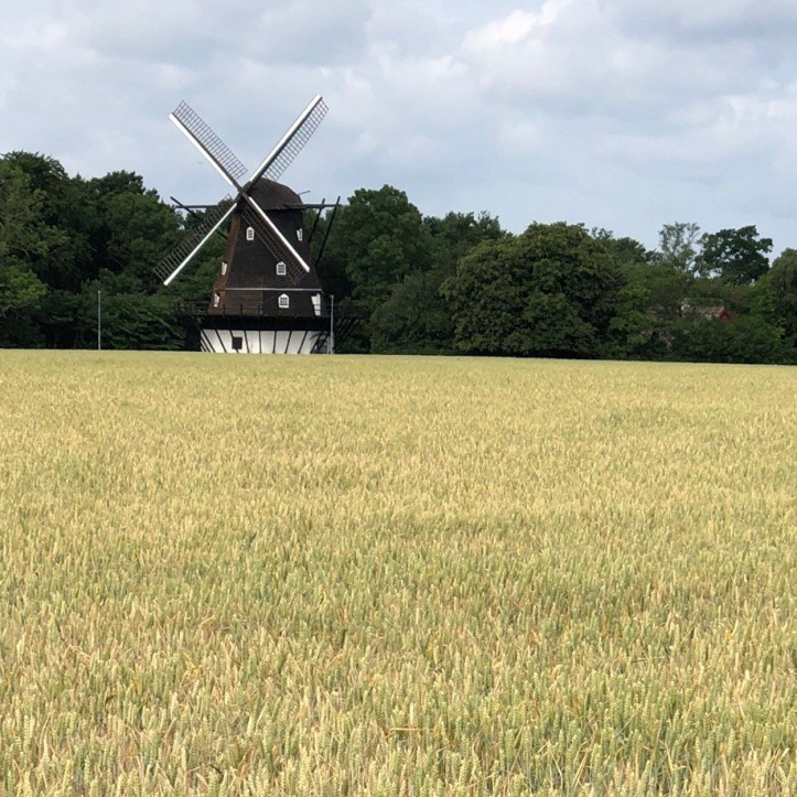 F18E0D5E-145E-4E7A-B06F-CF66E8A320F4