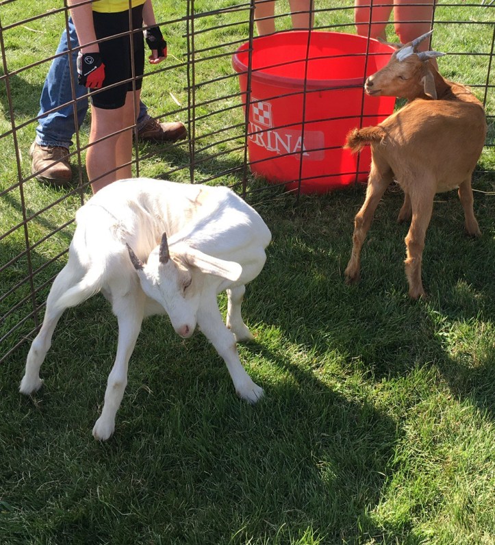 F350C700-3016-49CB-ABBD-679B6ADC8984