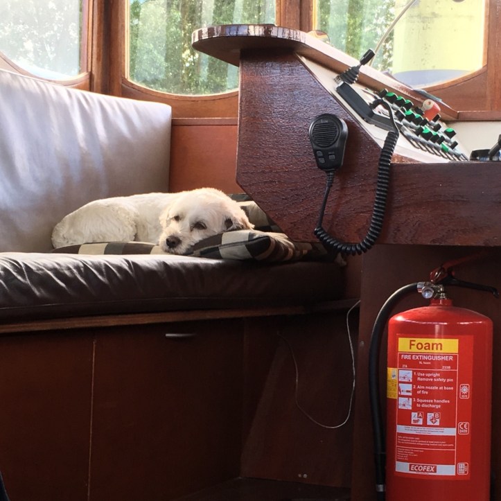 38AD8A39-3DE1-4FA5-AE88-38EE8CD69F95