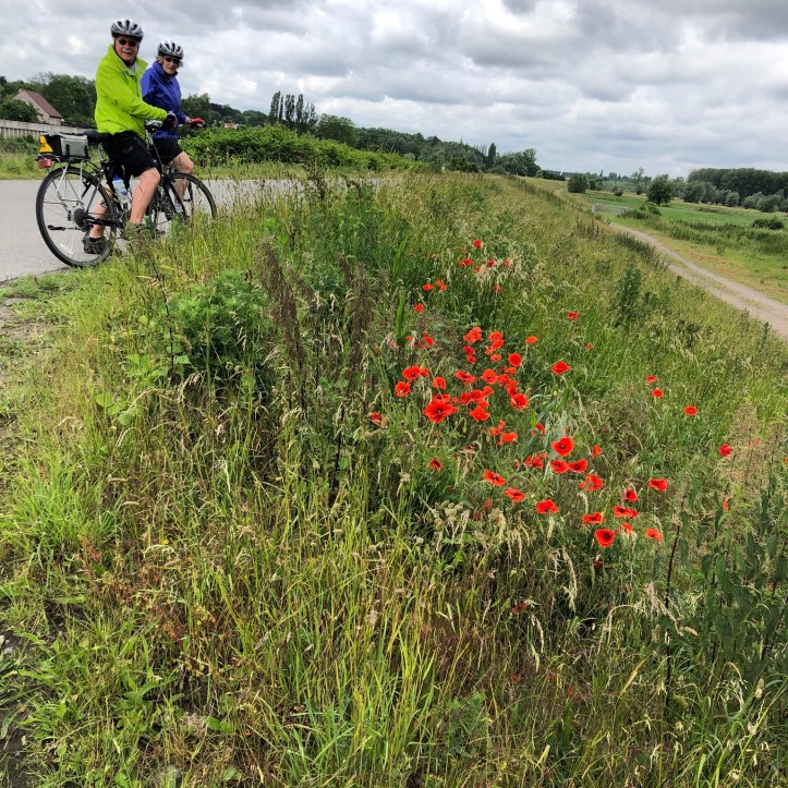 E23C6671-D9B0-47D3-BD34-C6A8A855FE35