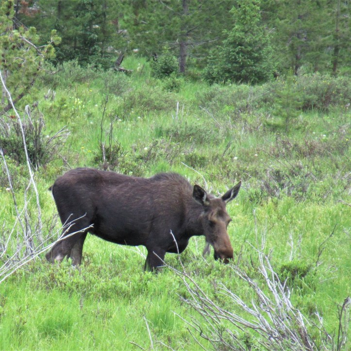 07062F87-8E36-45E9-B59A-0159DE45DFC6