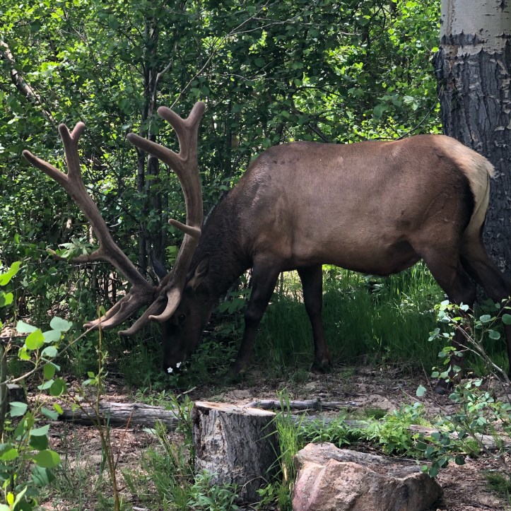 141EC1E7-4A04-488B-BFFF-2A7620349452