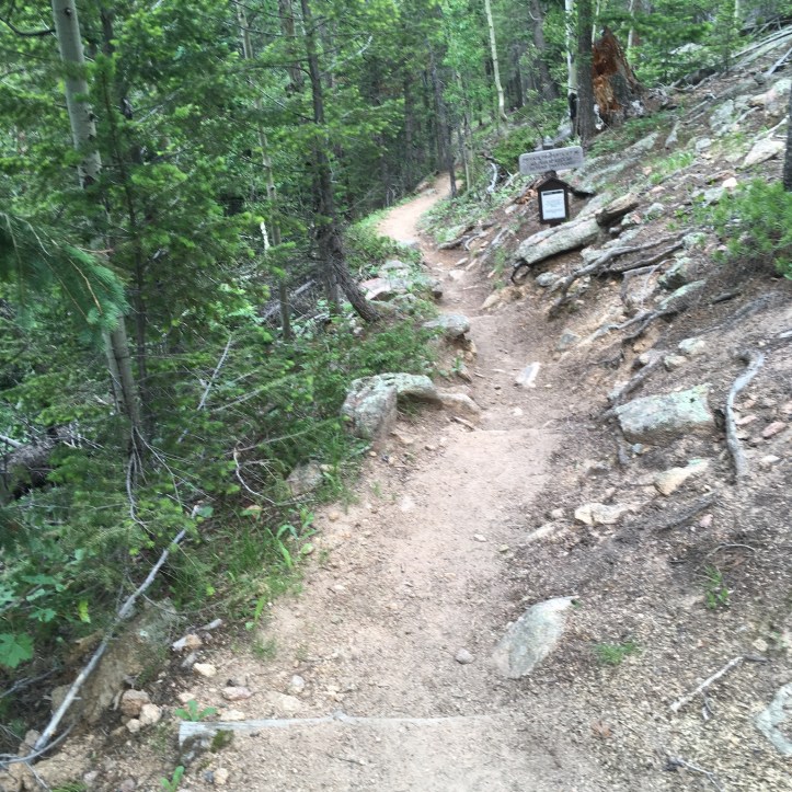 42597B61-BD94-4B37-9AD2-921644F914A9