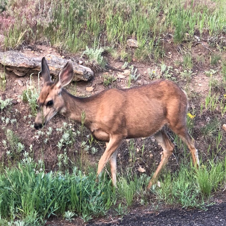 493A4BC6-6030-4186-8A3F-23FB293AE44A