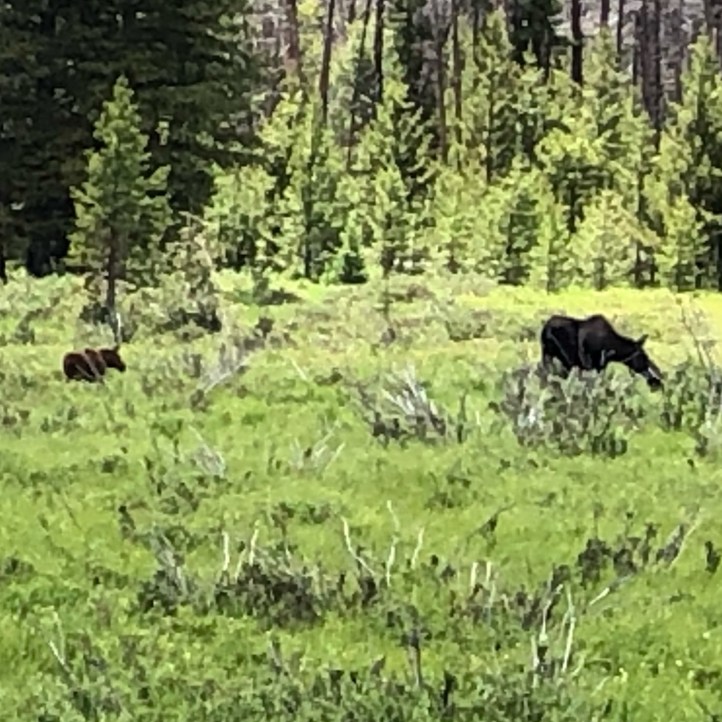 4A35EDEA-728D-475B-B17D-F2674CDA09EF