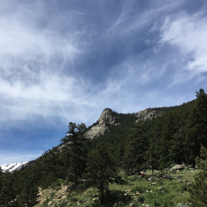 6C5ECA5C-EE93-4E65-87C3-0EDF44046854