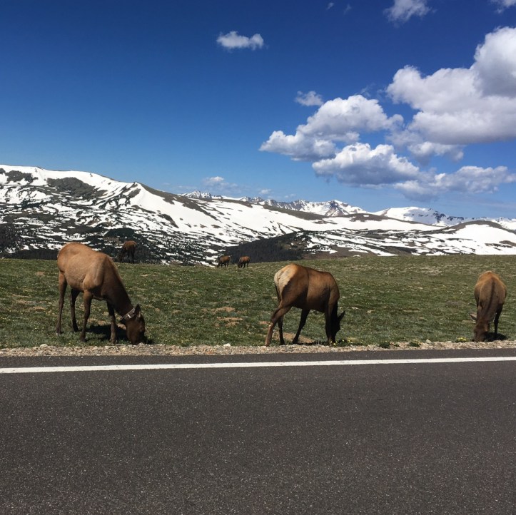 6D9DBD05-925C-46AD-9544-7C190D6FD294