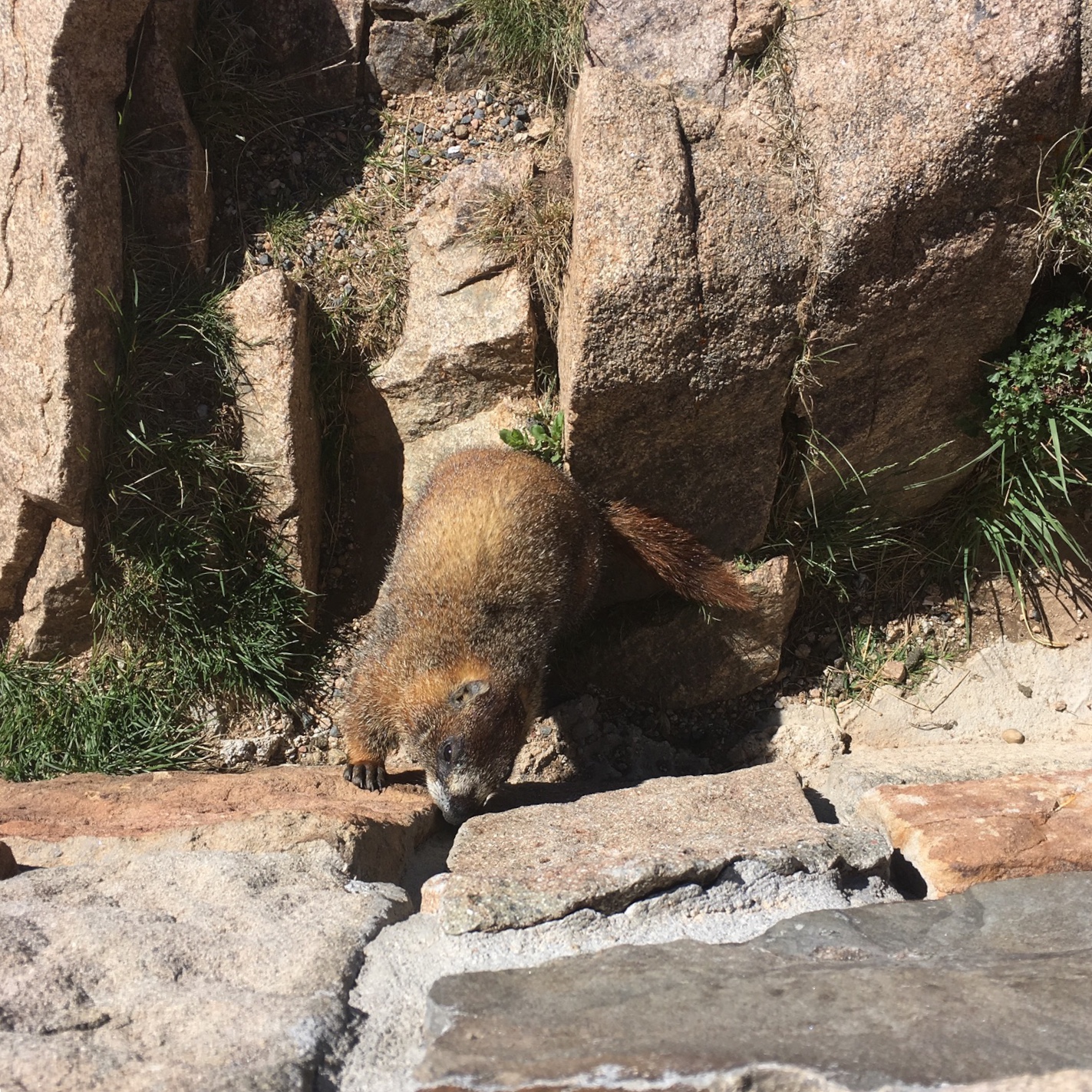 6FE63D53-D1B8-4C46-832B-4D5BF289E2AA