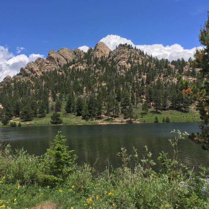 785263DC-0CC3-4DFA-9A43-EED70E7A2020