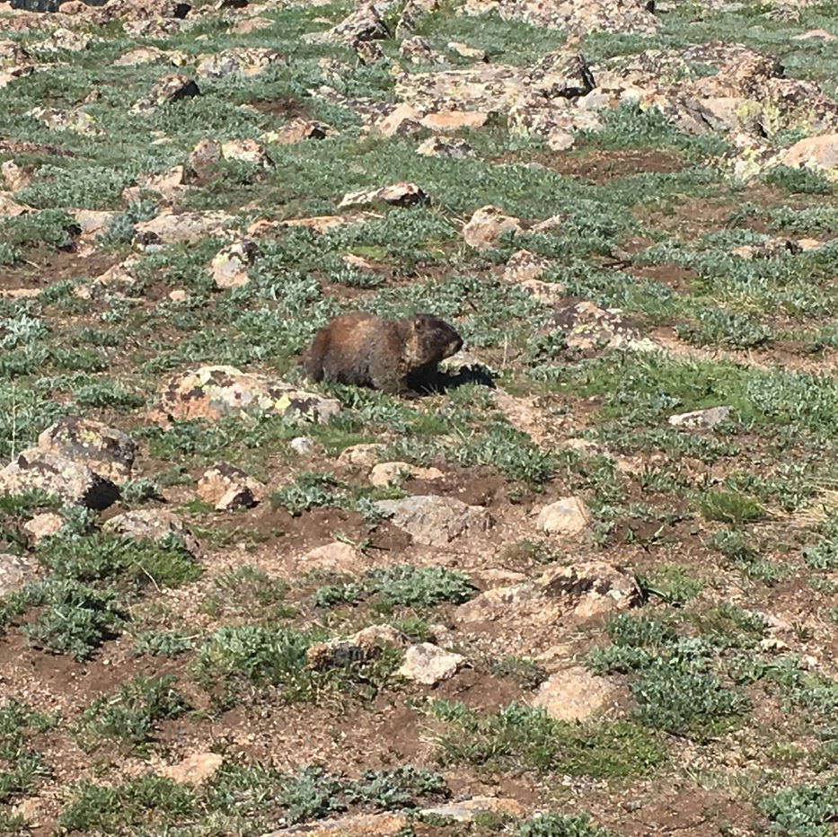 7E3FE661-4749-4D81-B723-A62FCD0156A4