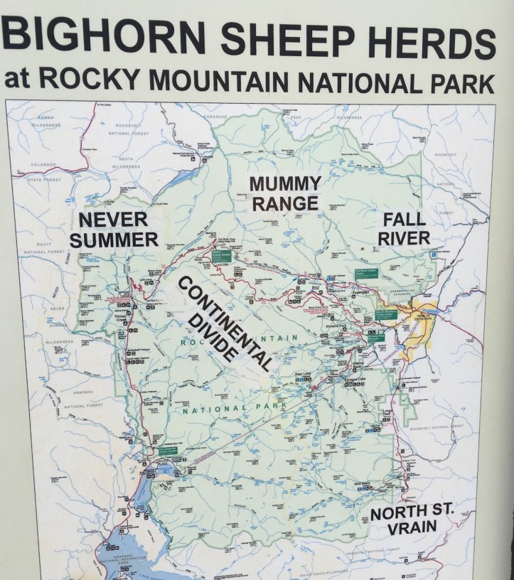 81000954-8E35-4FDE-A857-ACEDED0838AD