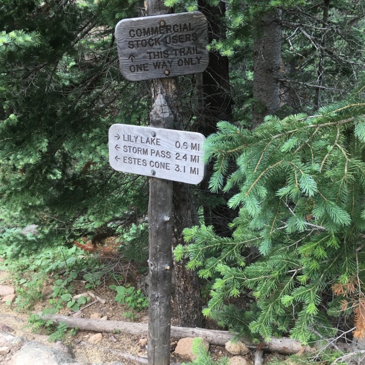 876EEE43-639B-45BB-95BB-09E20D2EB448