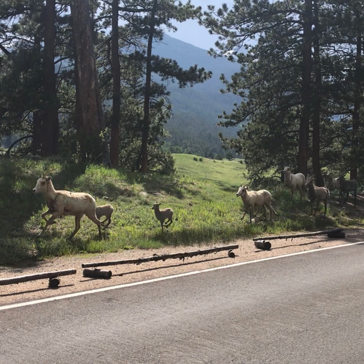 C1FD372C-680F-408E-9CBC-308B826EFC83