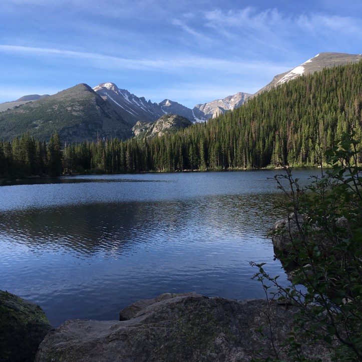 C84546B5-D01A-4586-813D-B764492E82C8