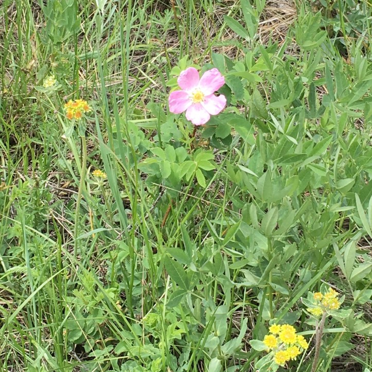 C92AF79B-BEF8-49A2-99E7-23E794E66F05