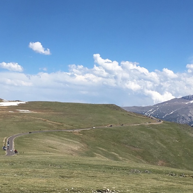 D550C103-EBB2-4778-BBA6-096D3F60E9D2