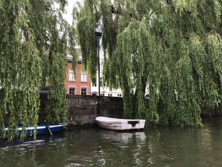 D6805087-72BD-4430-A29C-CA15C6C5D2C5