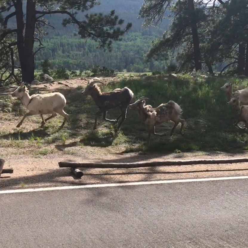 EF100778-635E-434C-9BCC-93C1E91E0405