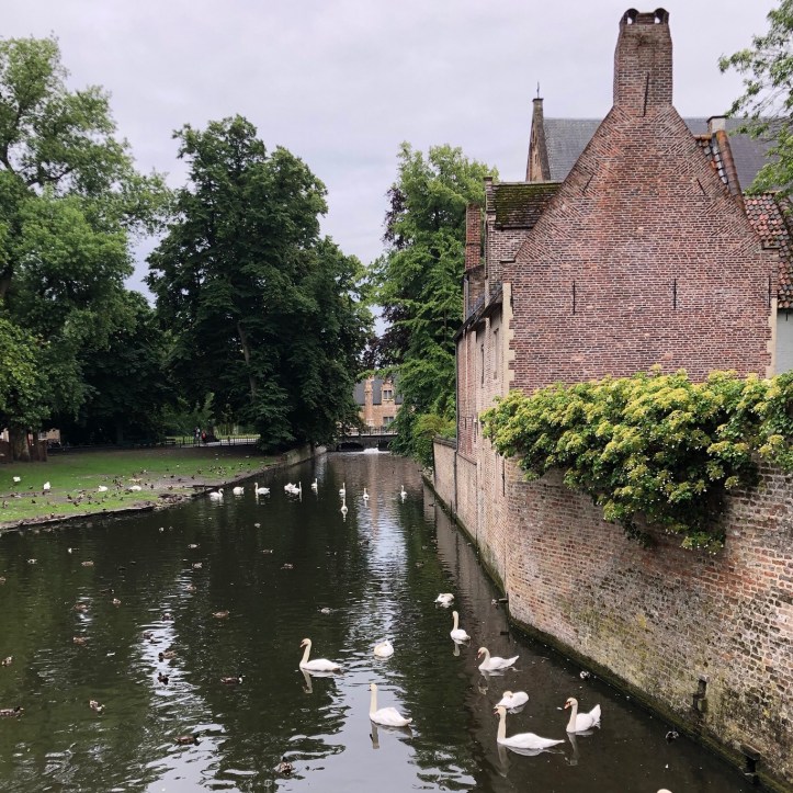 00F244AB-77A8-4594-B191-F774C7DF27C4