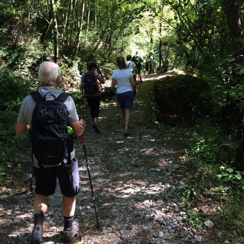 1E38C9AB-ACD9-4765-A0E7-CAE6554F9F23