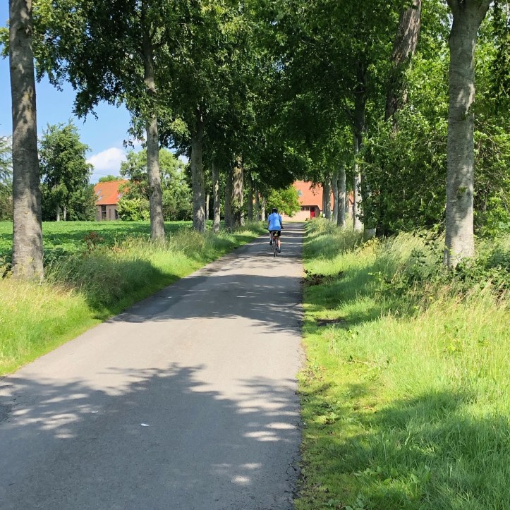 37CF156B-3780-42DB-A18E-11A59B6D06C8