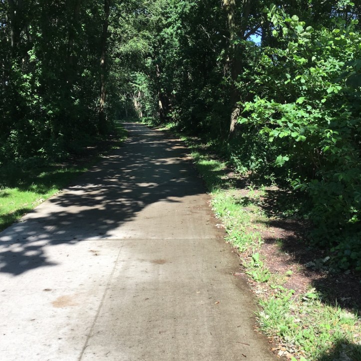 449081D7-683B-4987-AEE5-75439FE9D7A2