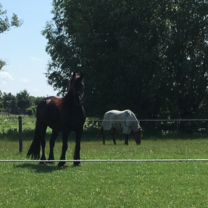 5BE426BE-6E2B-43F5-84A2-E4FDF6B96238