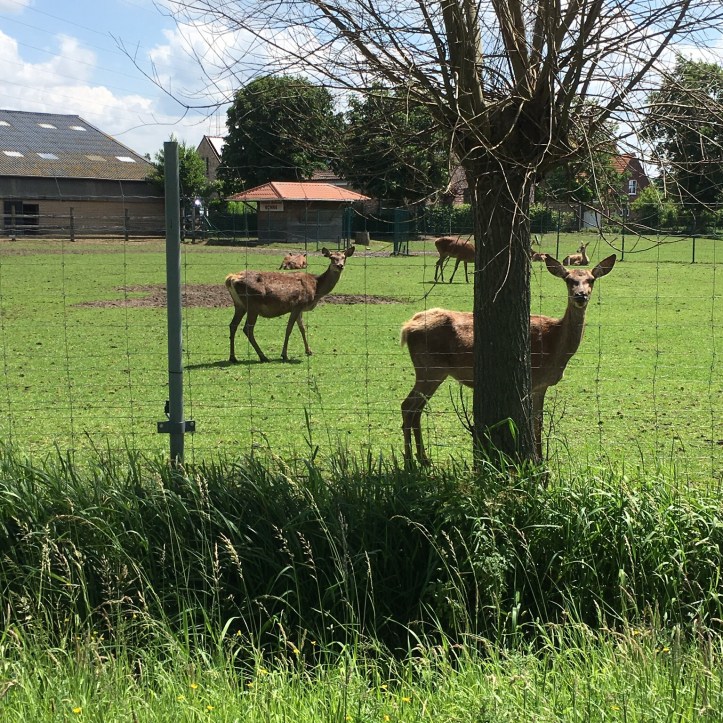 6CB8BA28-AA6B-4FD3-9935-EEEDAB408A44