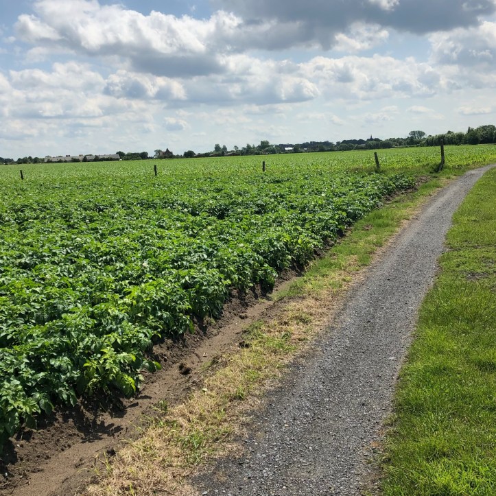 84C1DDB5-D908-4486-86B3-9539873659C1