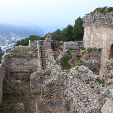 8F45206C-EB0F-4CEC-944B-8D3FC6CC8D47