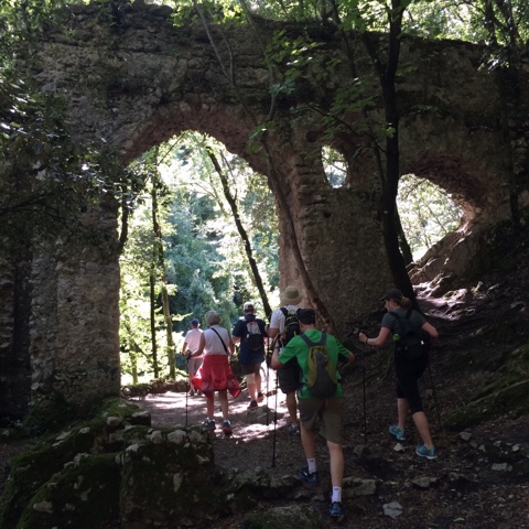 C6B23727-AD56-46B5-89A9-BC3EC35FC62F