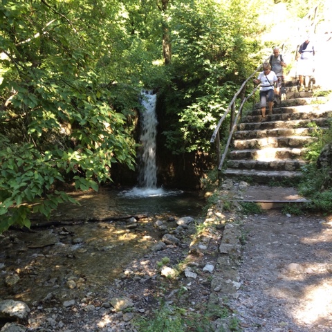 C6BE4AE0-94E4-4931-9B55-13E206E2CD82