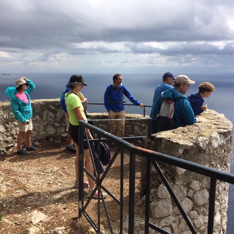 C902B3FF-1031-477A-847D-E229E8819BCB