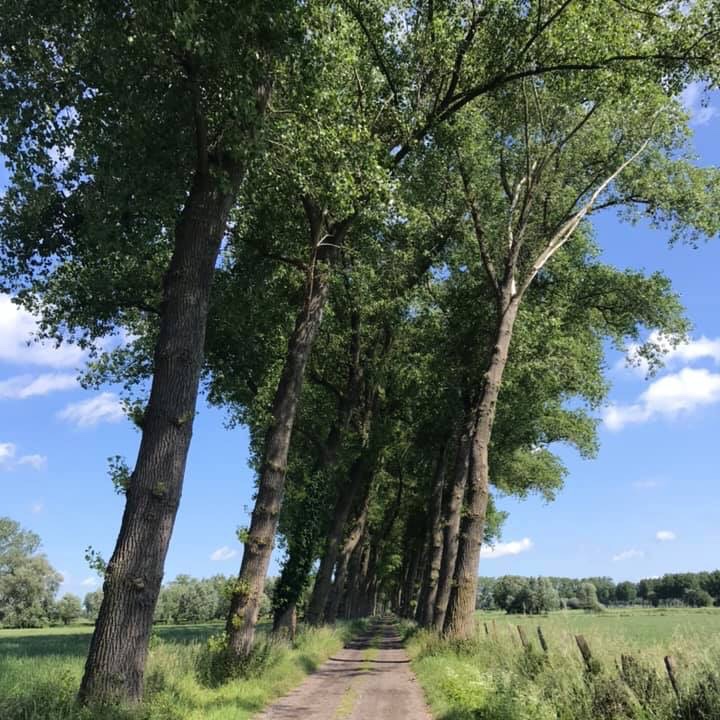 CFE0E8BA-75EC-4730-9F5A-FF077CC6DD1E