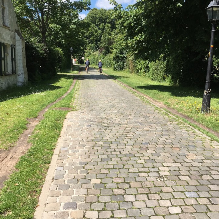 EFE856D1-67A3-439F-9E0B-EBB2D04D4432