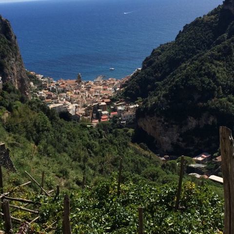 F7559CD8-E367-412C-AB99-ED17E68AF49A