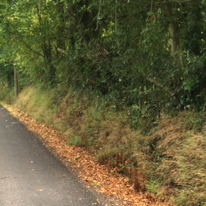 12C7C75D-FCEC-4066-AFE3-775125D1FABE