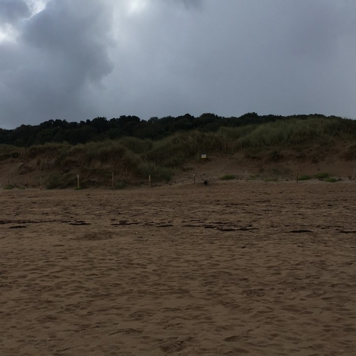 15F170F2-D84D-457E-B3A2-C18EF2A86759