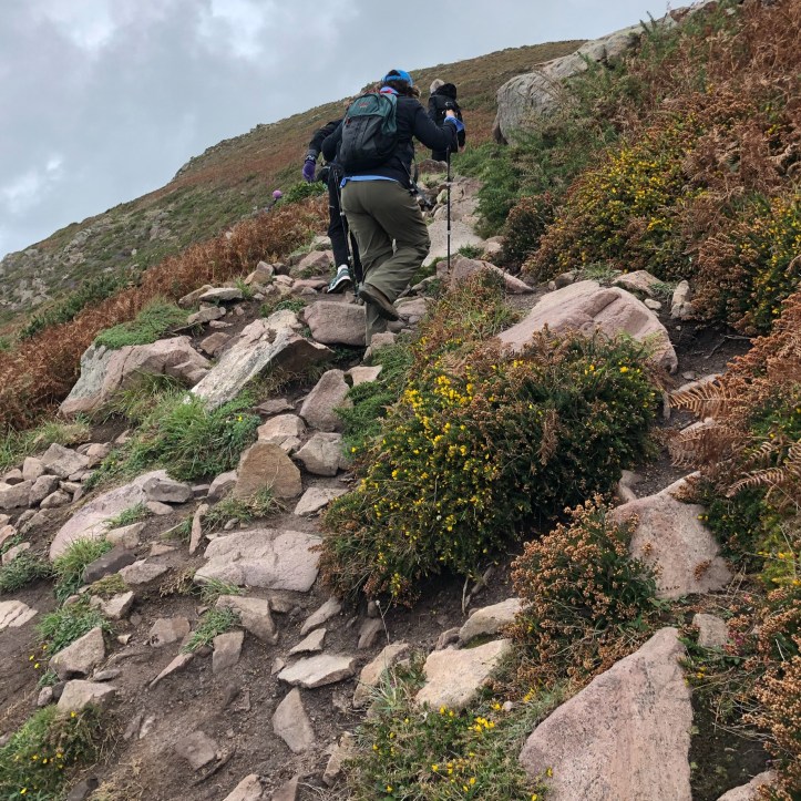 1D867A0A-0F78-42DB-AA2E-B8CF79FCF58A