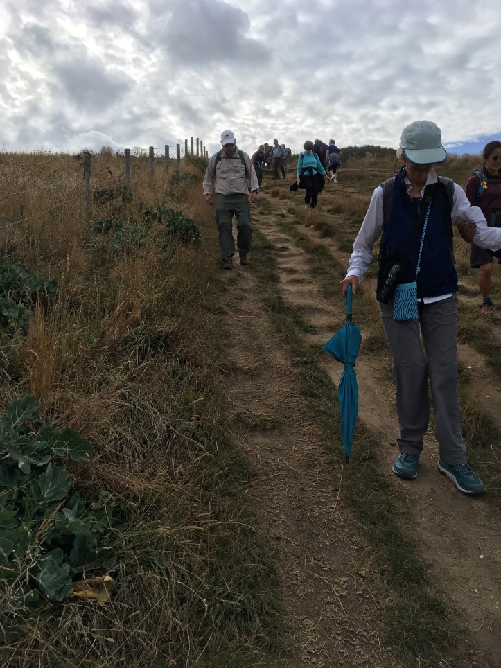 22560835-9E80-4CAF-A41F-8E2B8C4CBA0D