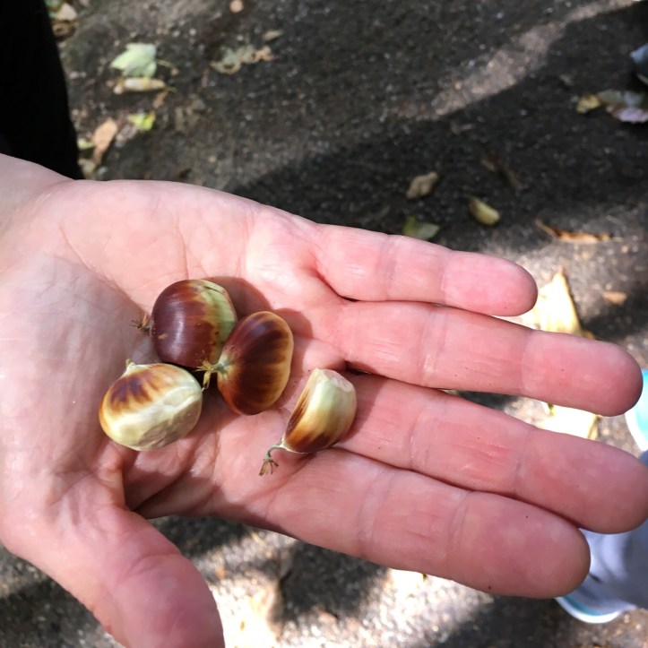 58A6FA5A-0843-48E0-8E82-5EA69F25B328