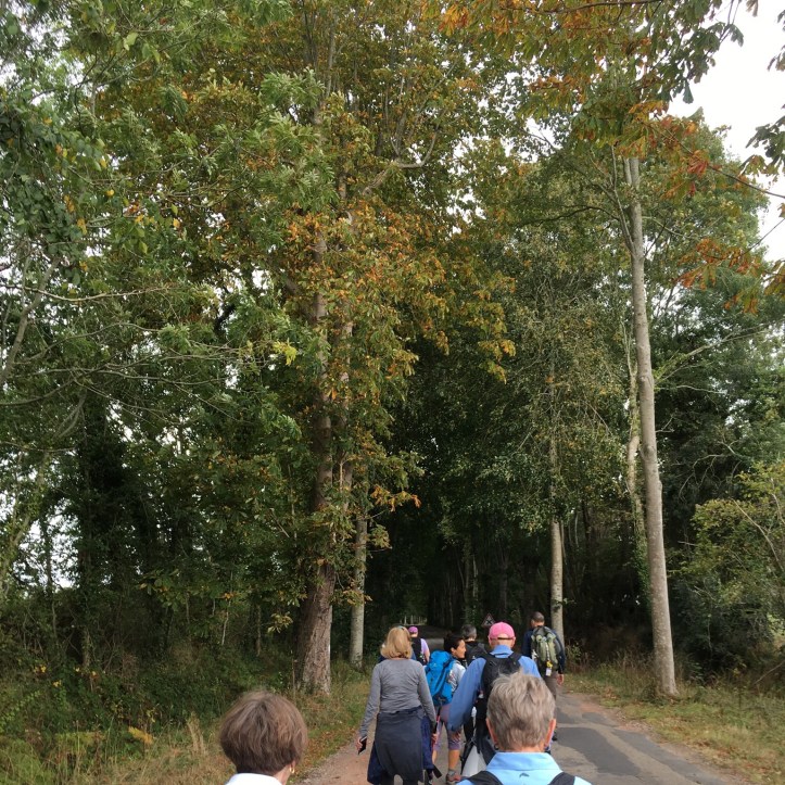 6D432F4E-3540-4DE9-9A13-3F1C7133F4AB